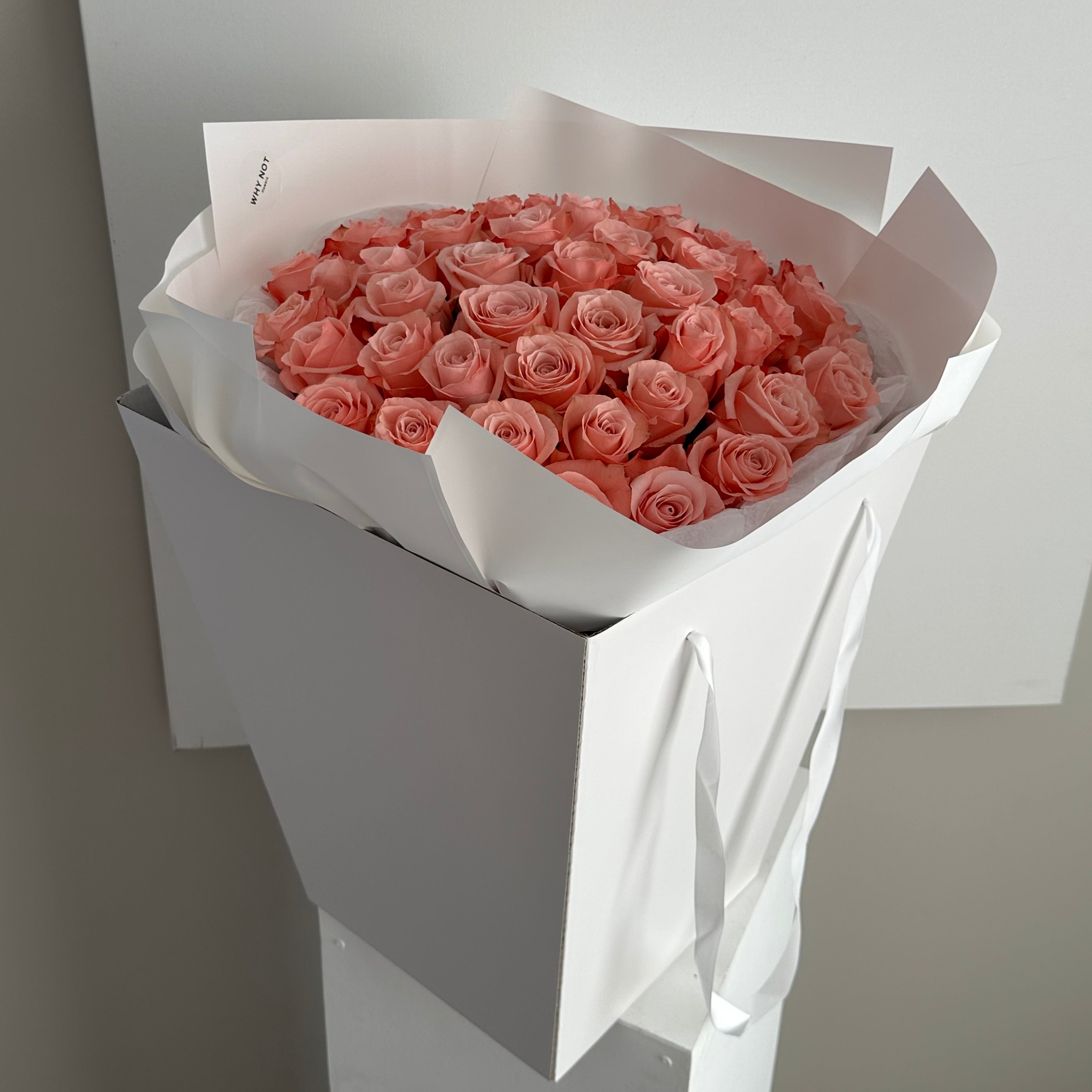 50 Peach Pink Roses