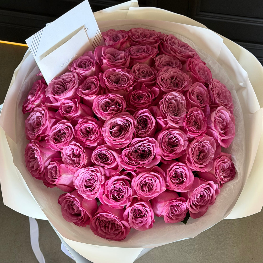 50 Purple Roses. Garden