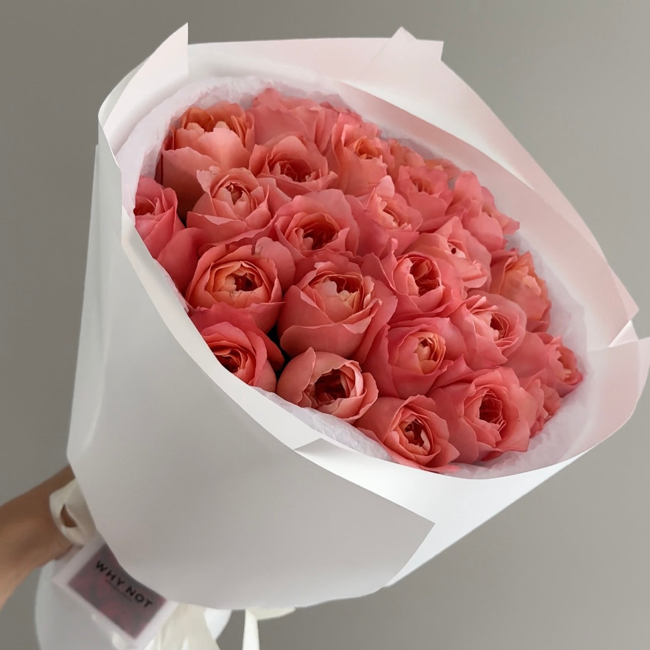 25 Pink Garden Roses/Premium