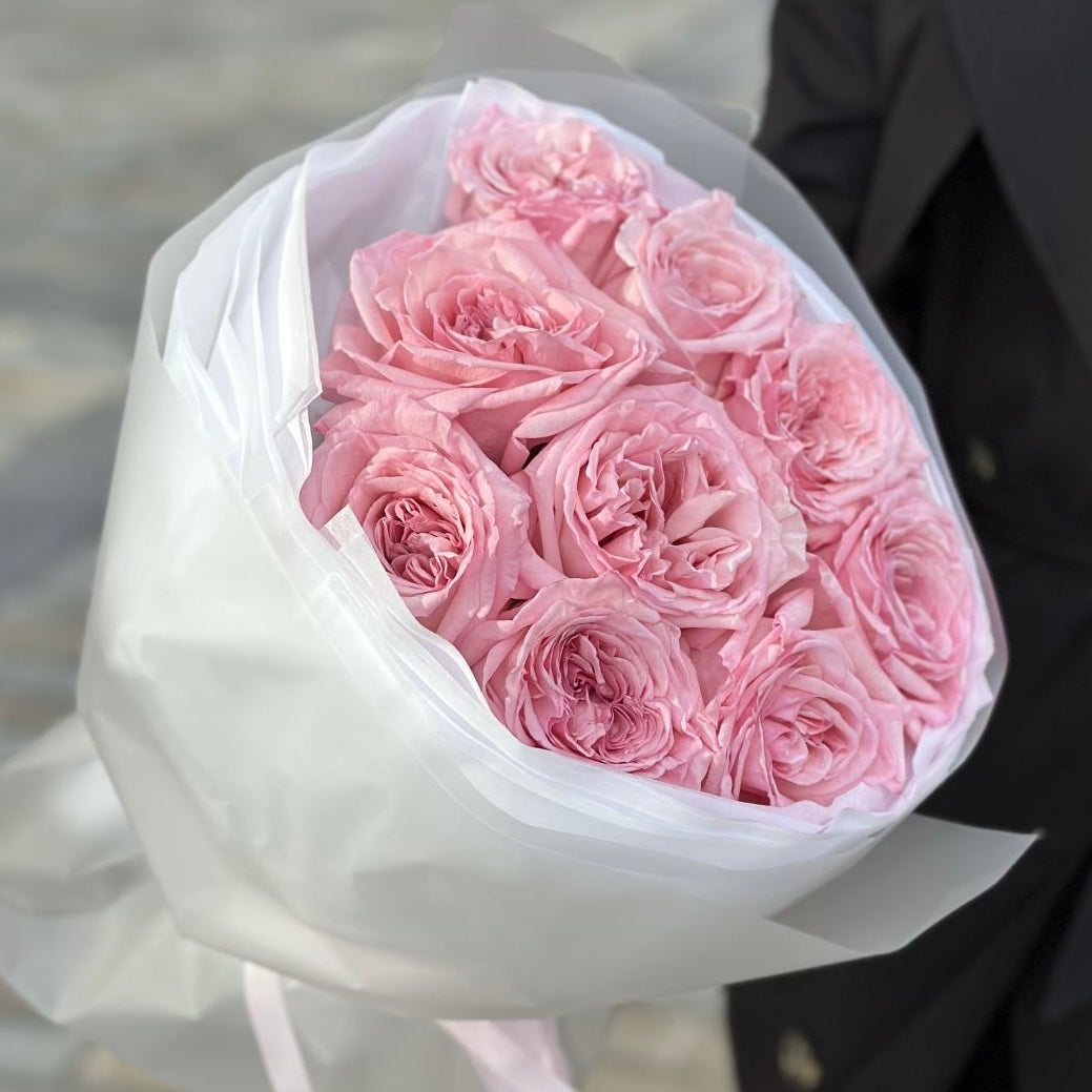 Pink O’Hara Premium