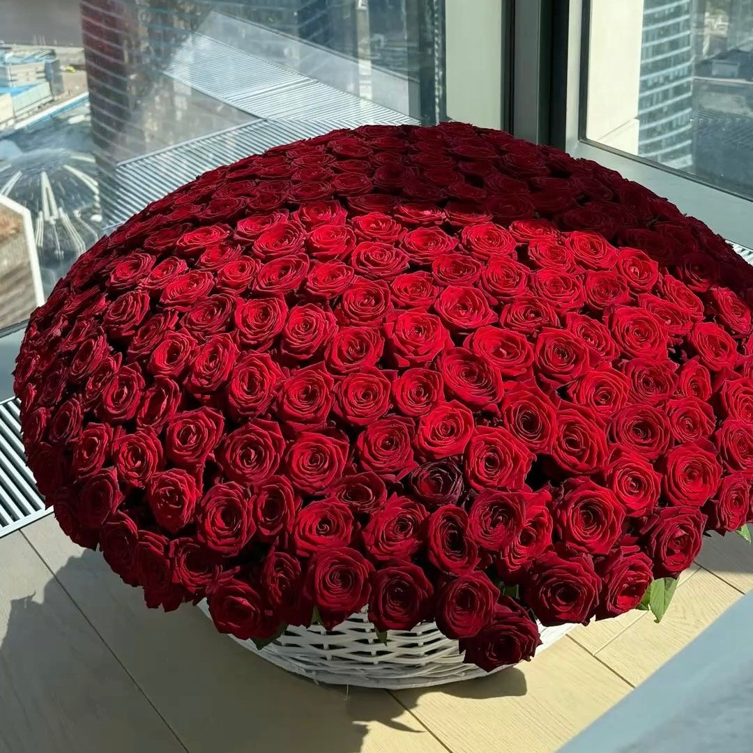 300 red roses
