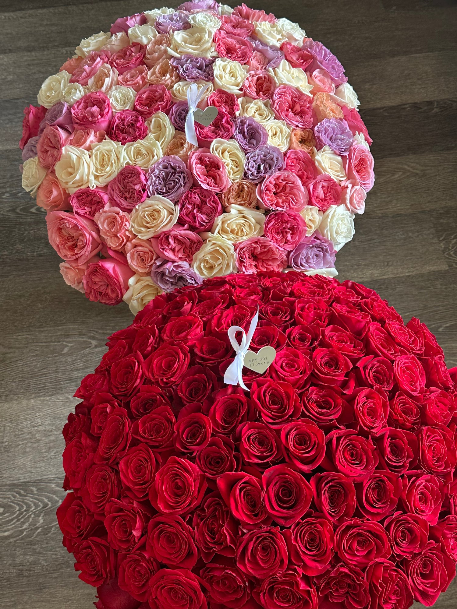 100 Premium Garden Roses