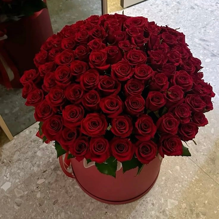 Red Roses in a Head Box