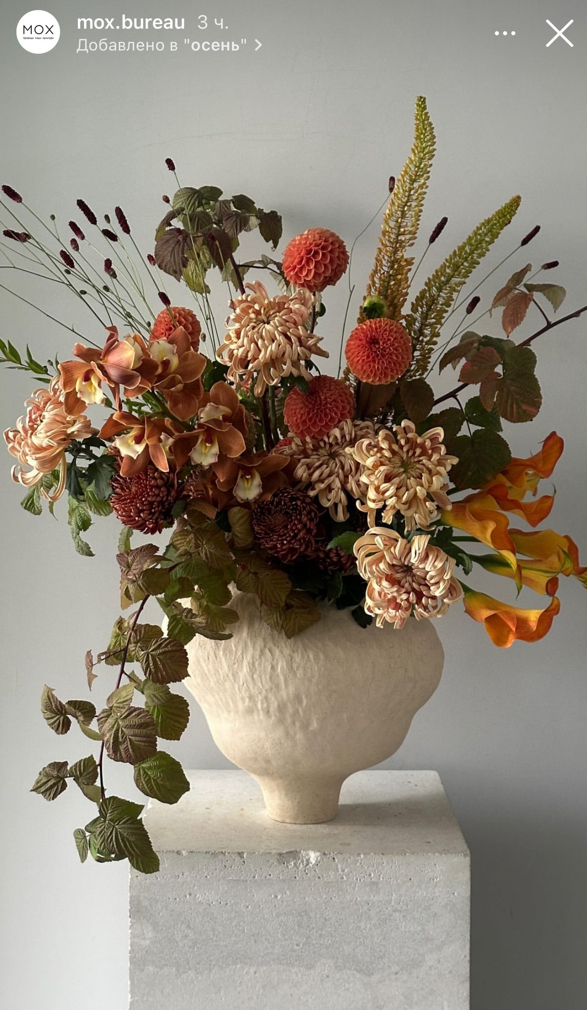 Arrangements in Vase