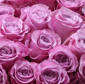 Purple Roses