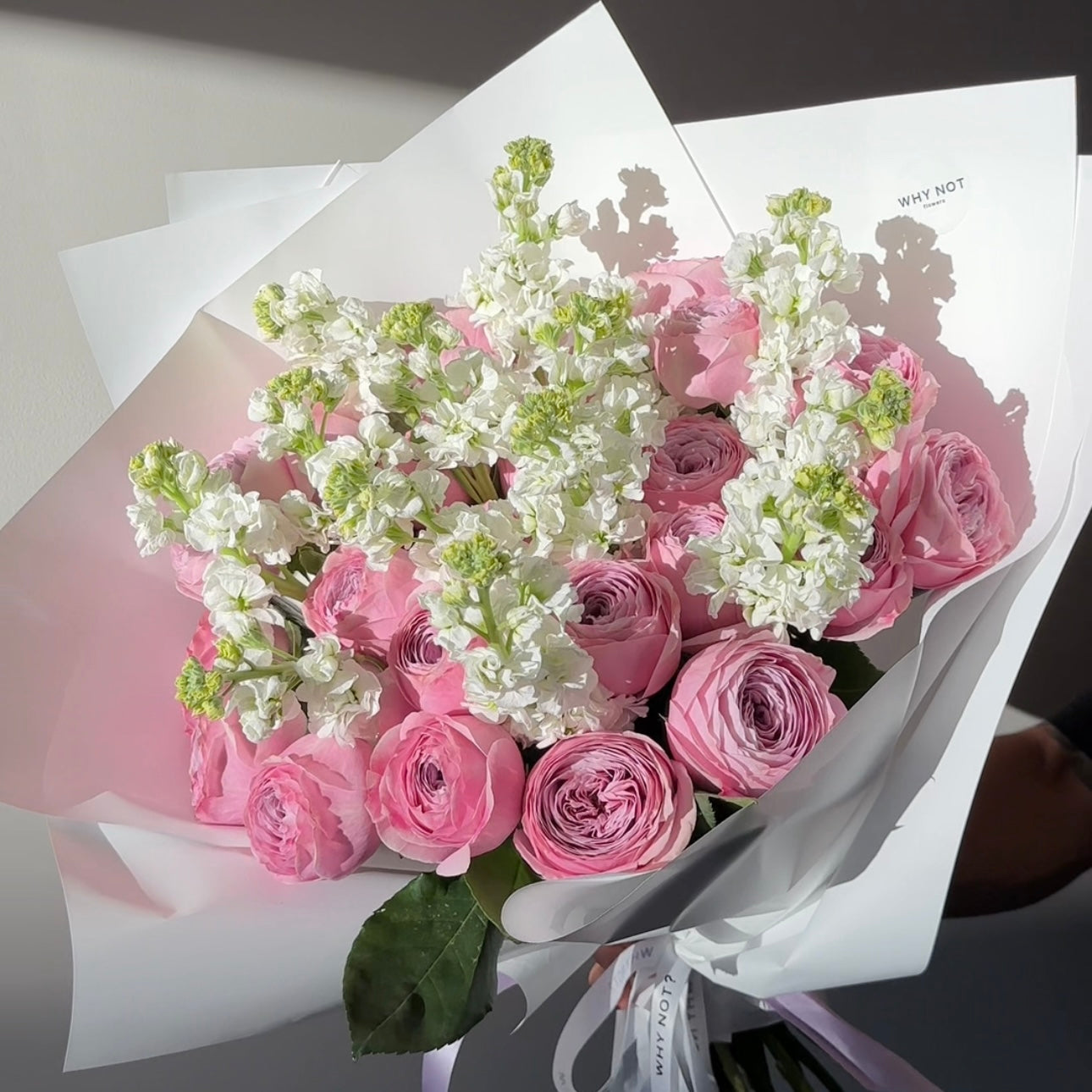 Purple Garden Rose and Matthiola