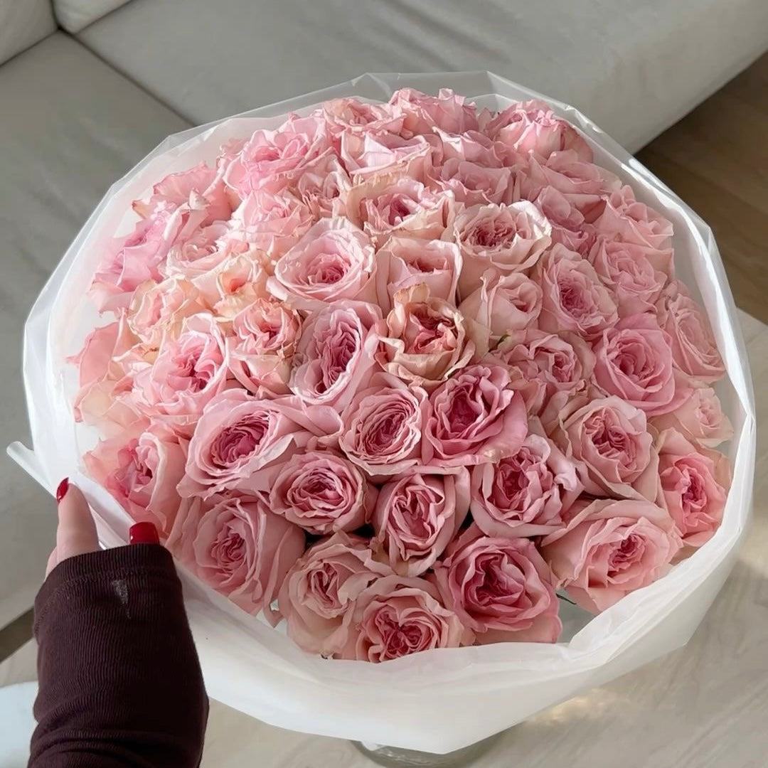Pink Roses O’Hara Premium (Garden)