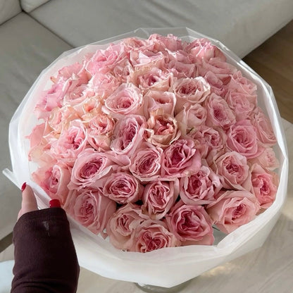 Pink Roses O’Hara Premium (Garden)