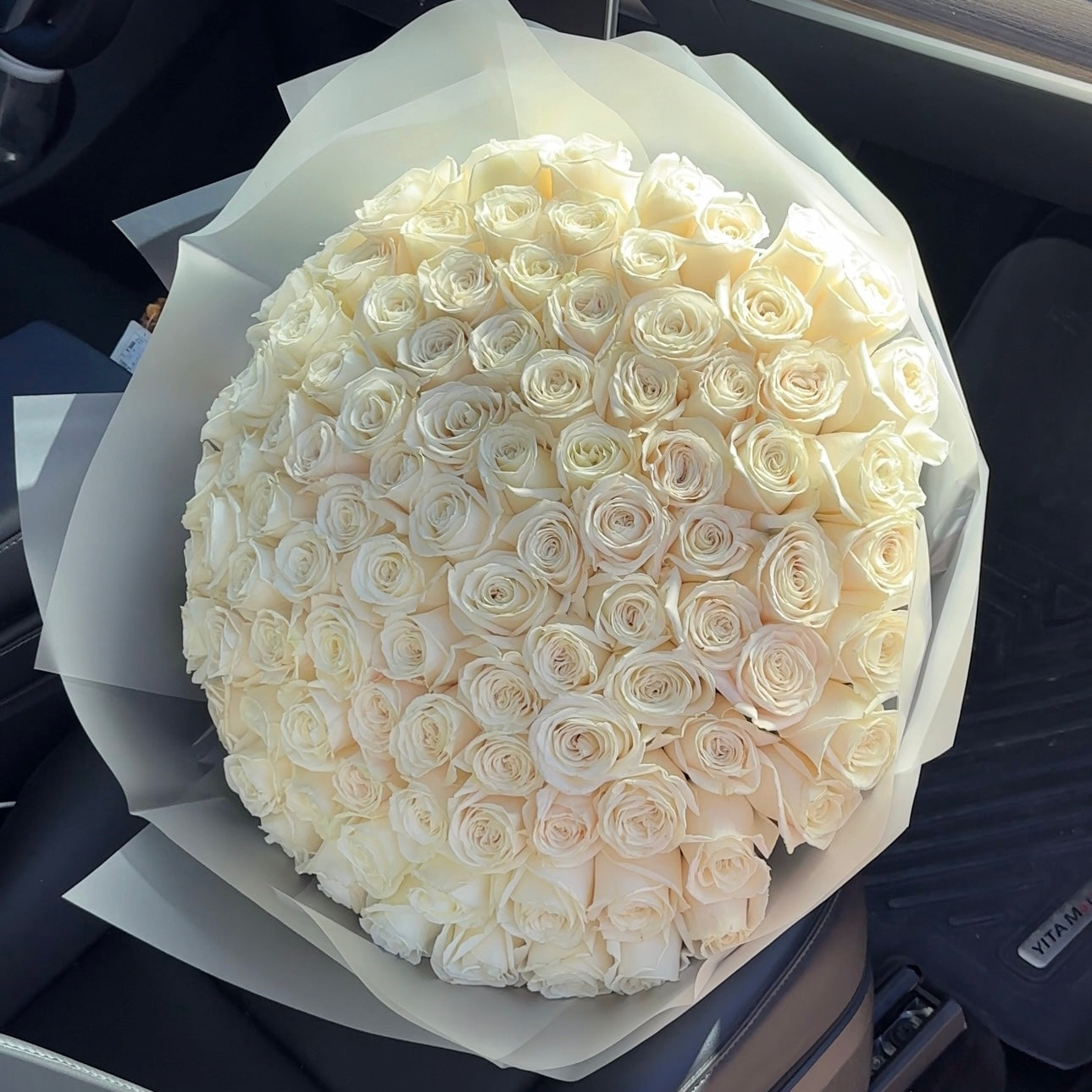 100 Premium White Roses Playa Blanca