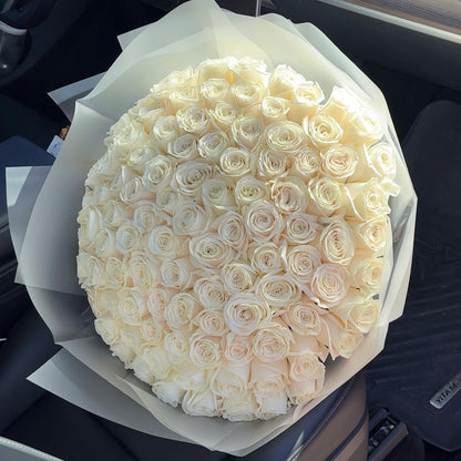 100 Premium White Roses Playa Blanca