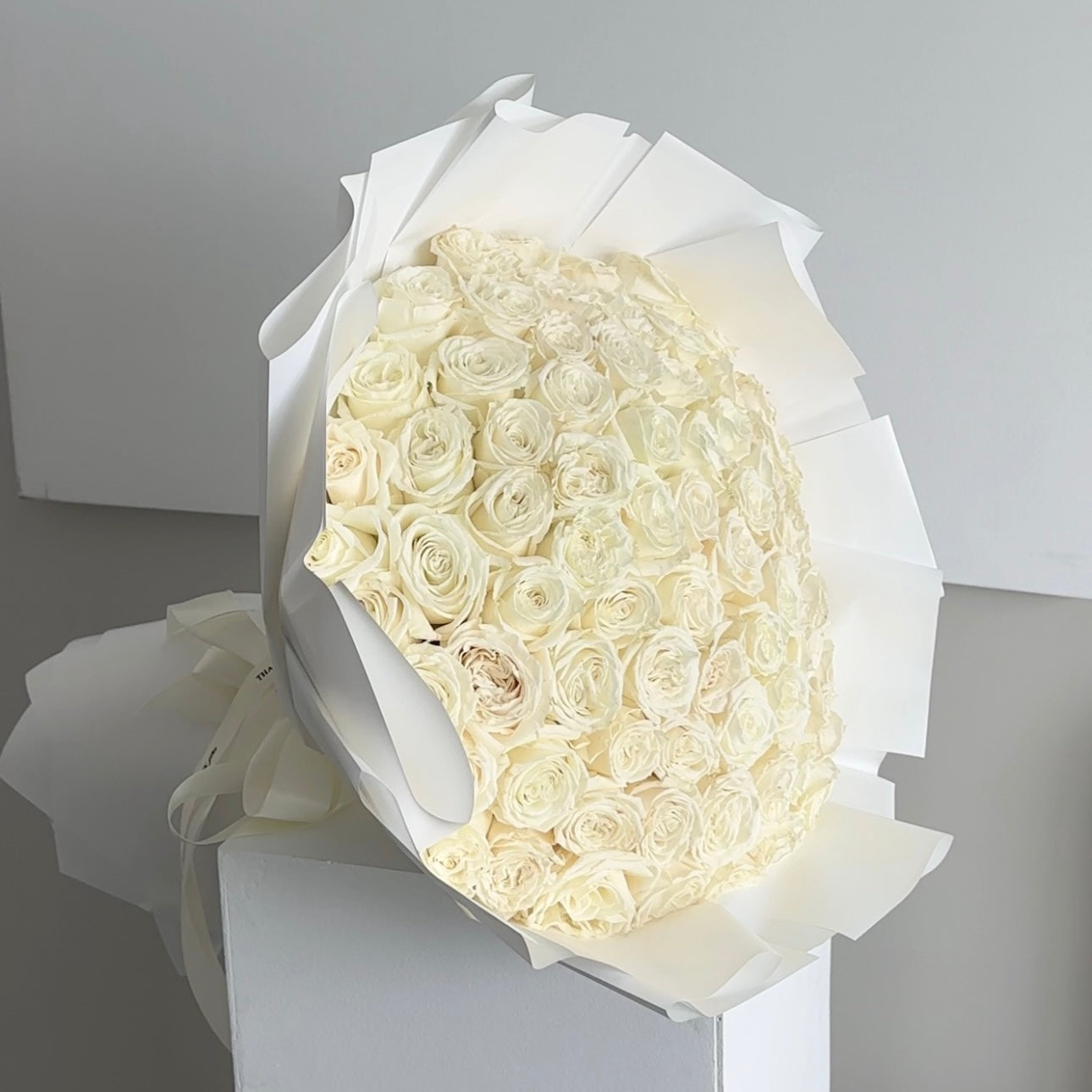 75 White Roses/PREMIUM