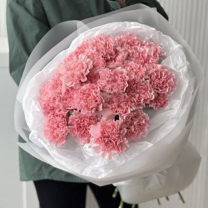 Dianthus