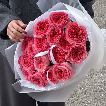 Pink Expression Premium (Garden)