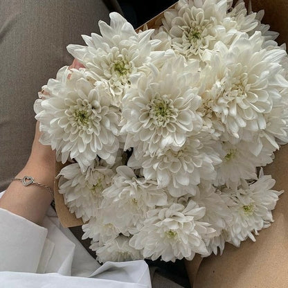 Pure