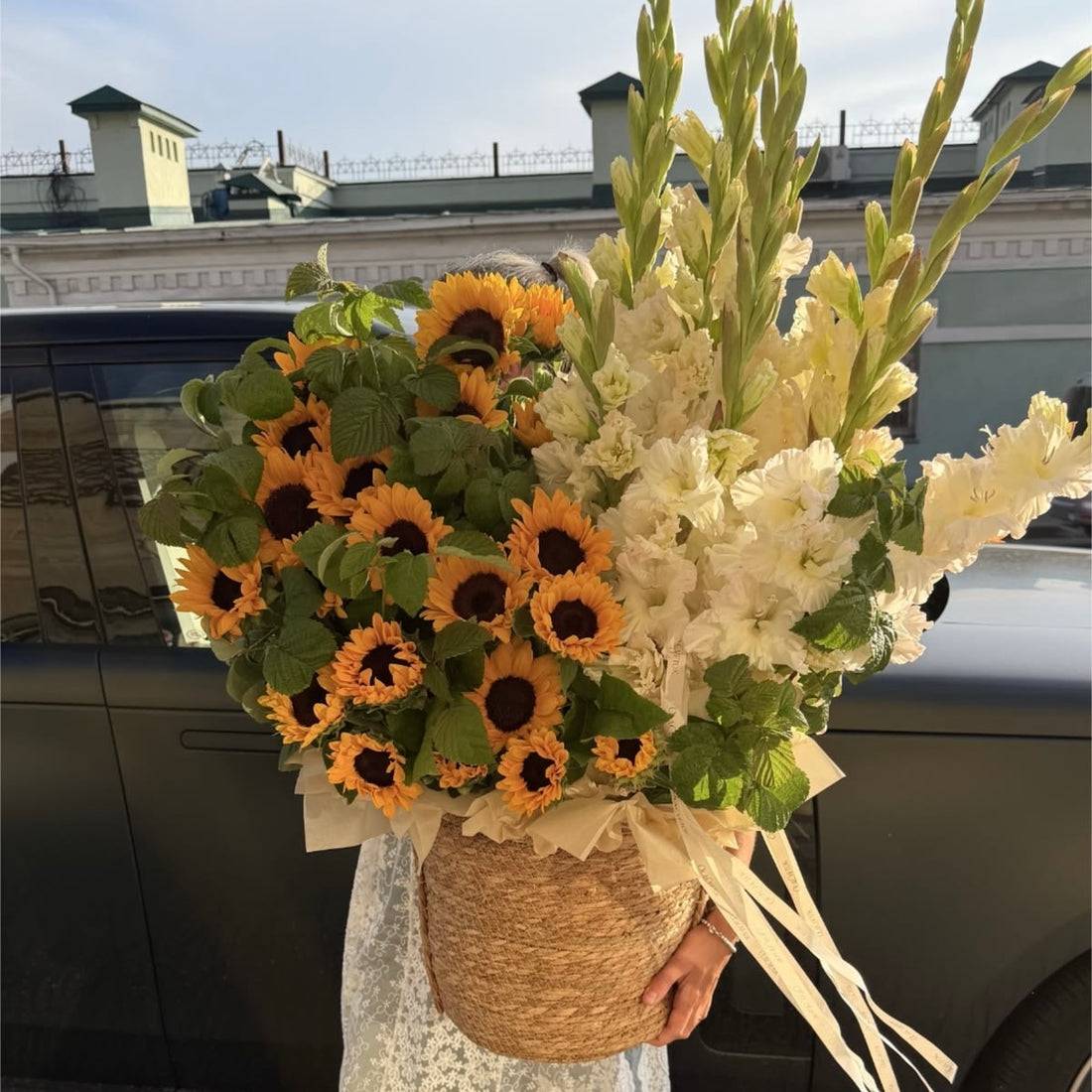Dolce Harvest