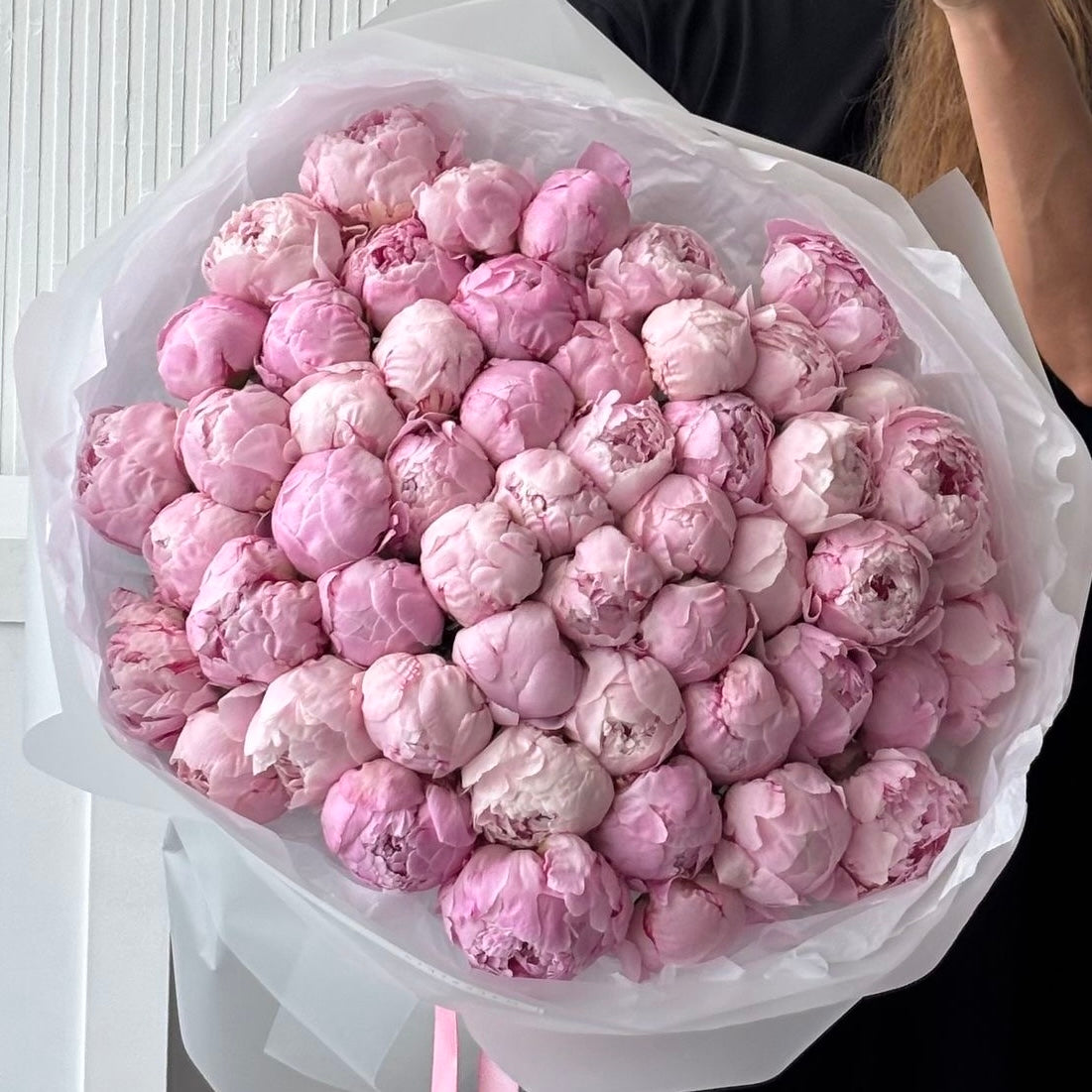 50 Peonies - Seasonal