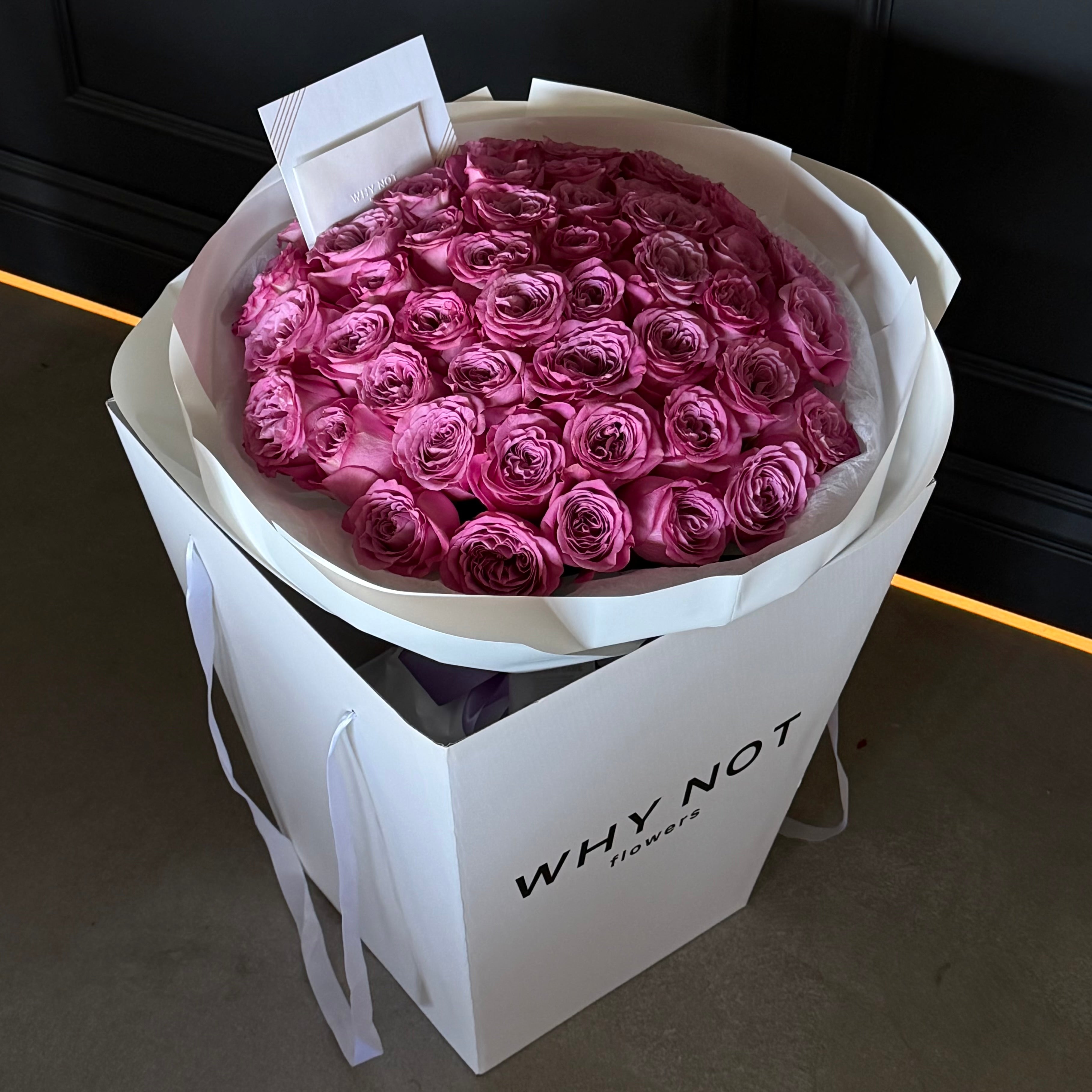 50 Purple Roses. Garden