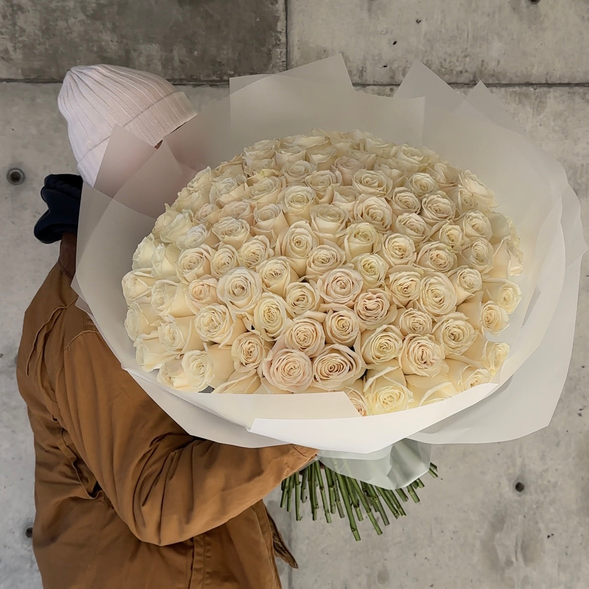 100 Premium White Roses Playa Blanca