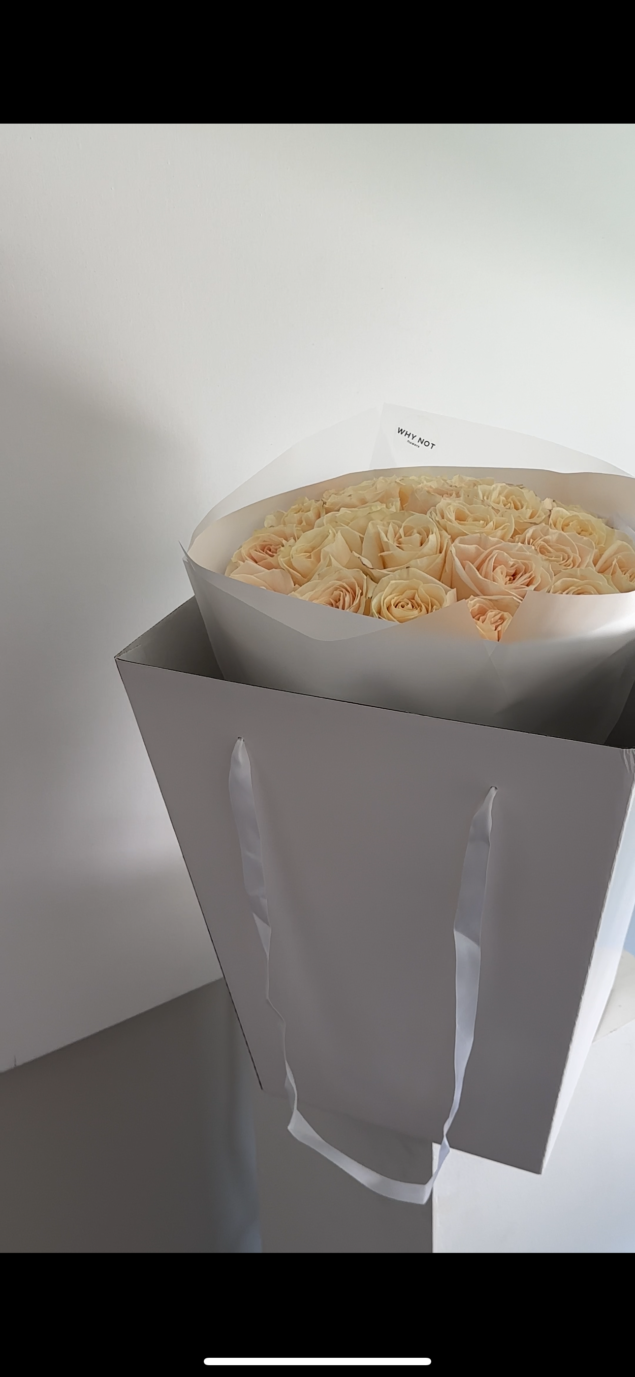 25 Ivory Roses