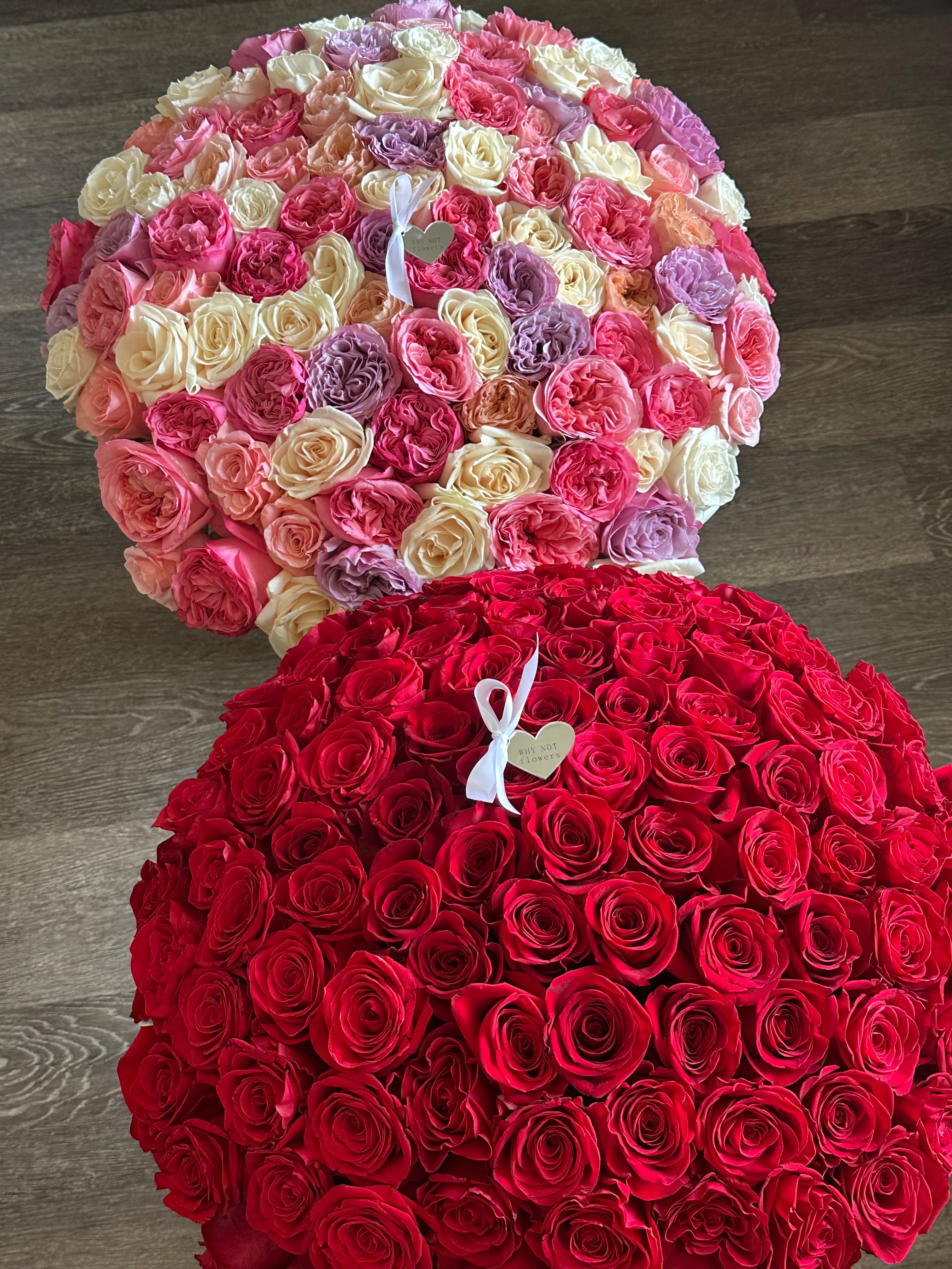 100 Premium Garden Roses
