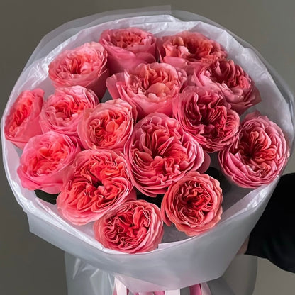 Pink Expression Premium (Garden)