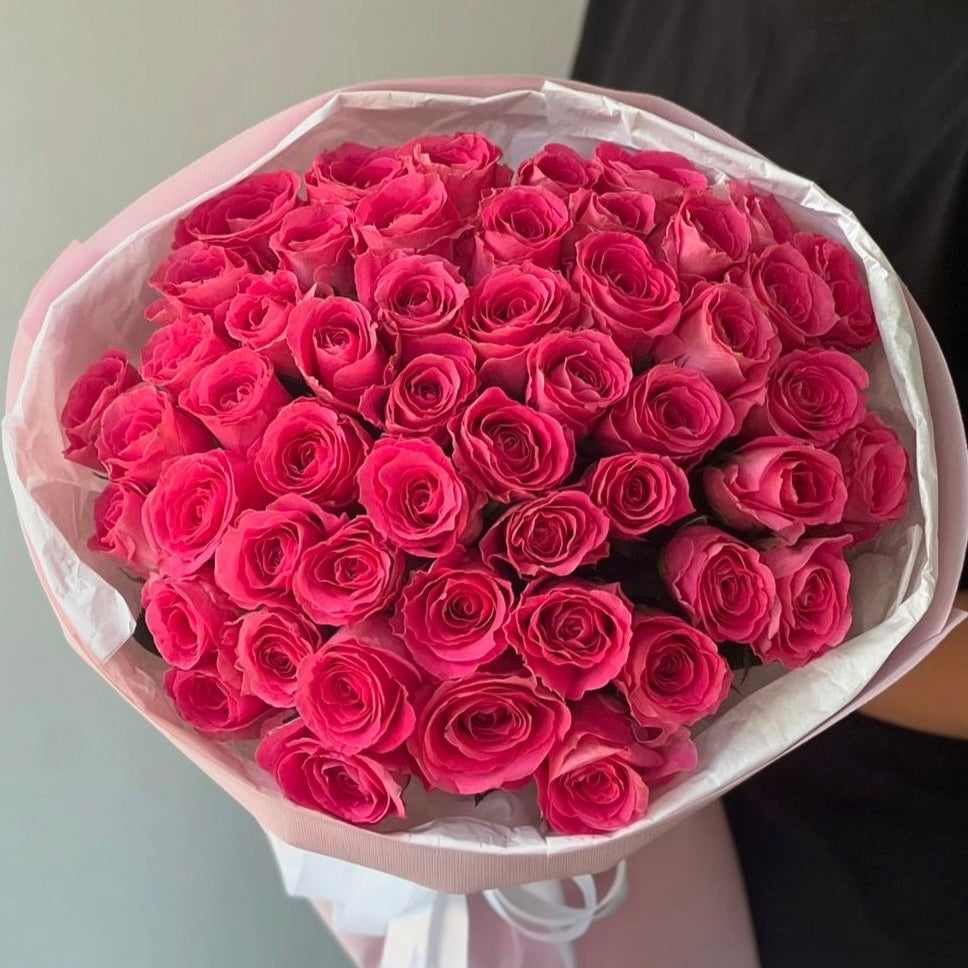 Hot Pink Roses