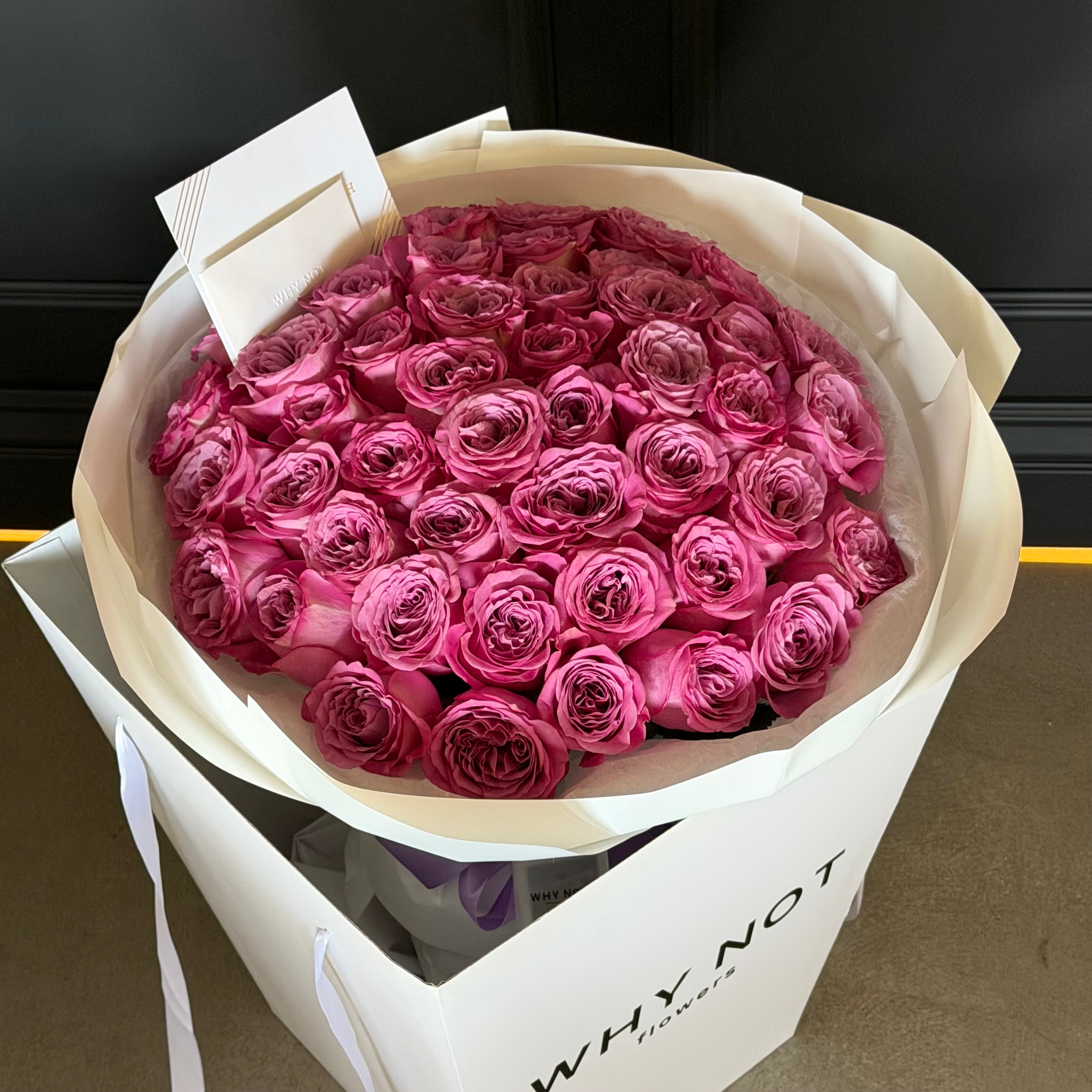 50 Purple Roses. Garden
