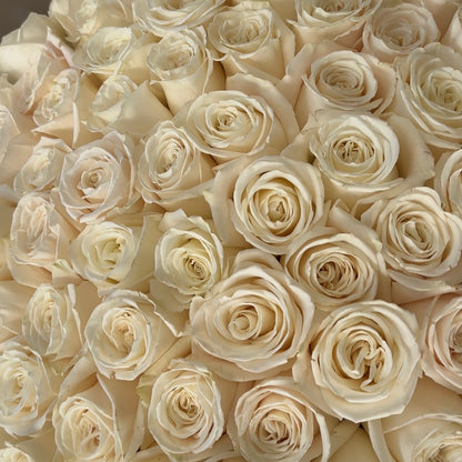 100 Premium White Roses Playa Blanca