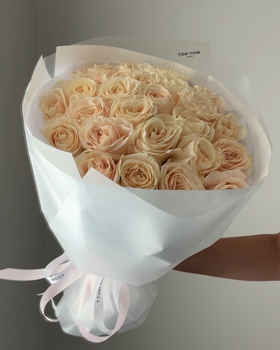 25 Ivory Roses