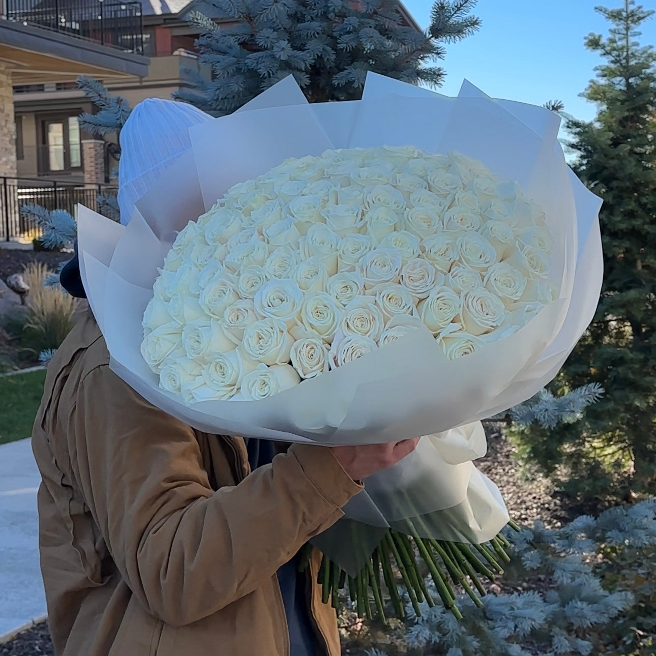 100 Premium White Roses Playa Blanca