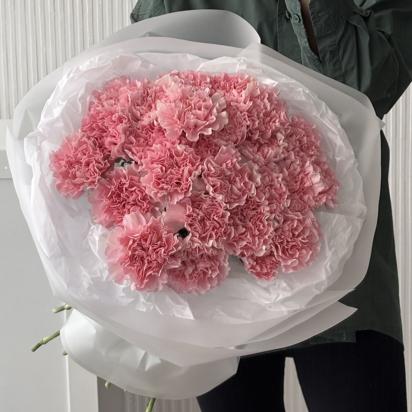 Dianthus