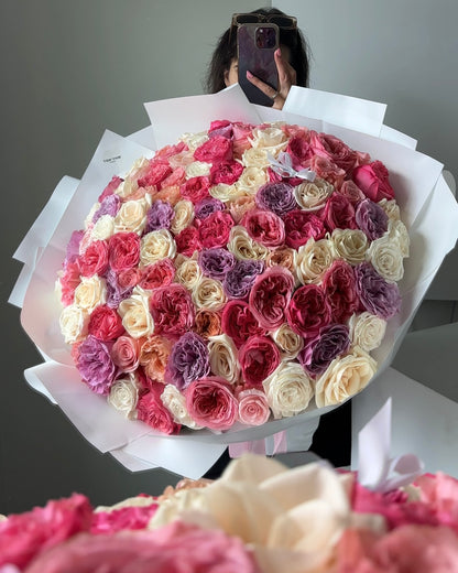 100 Premium Garden Roses