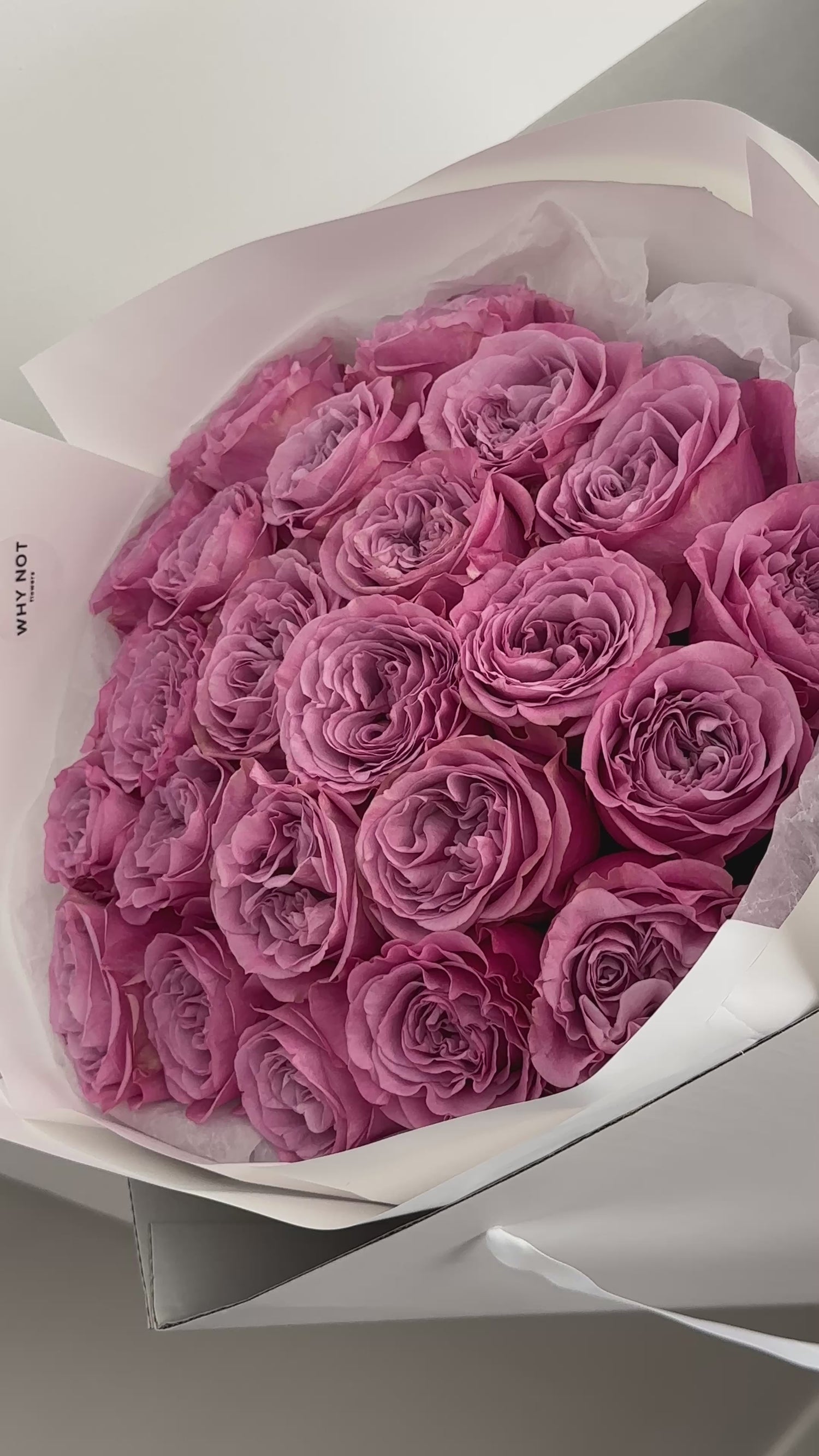 25 Dusty Lilac Roses/Premium