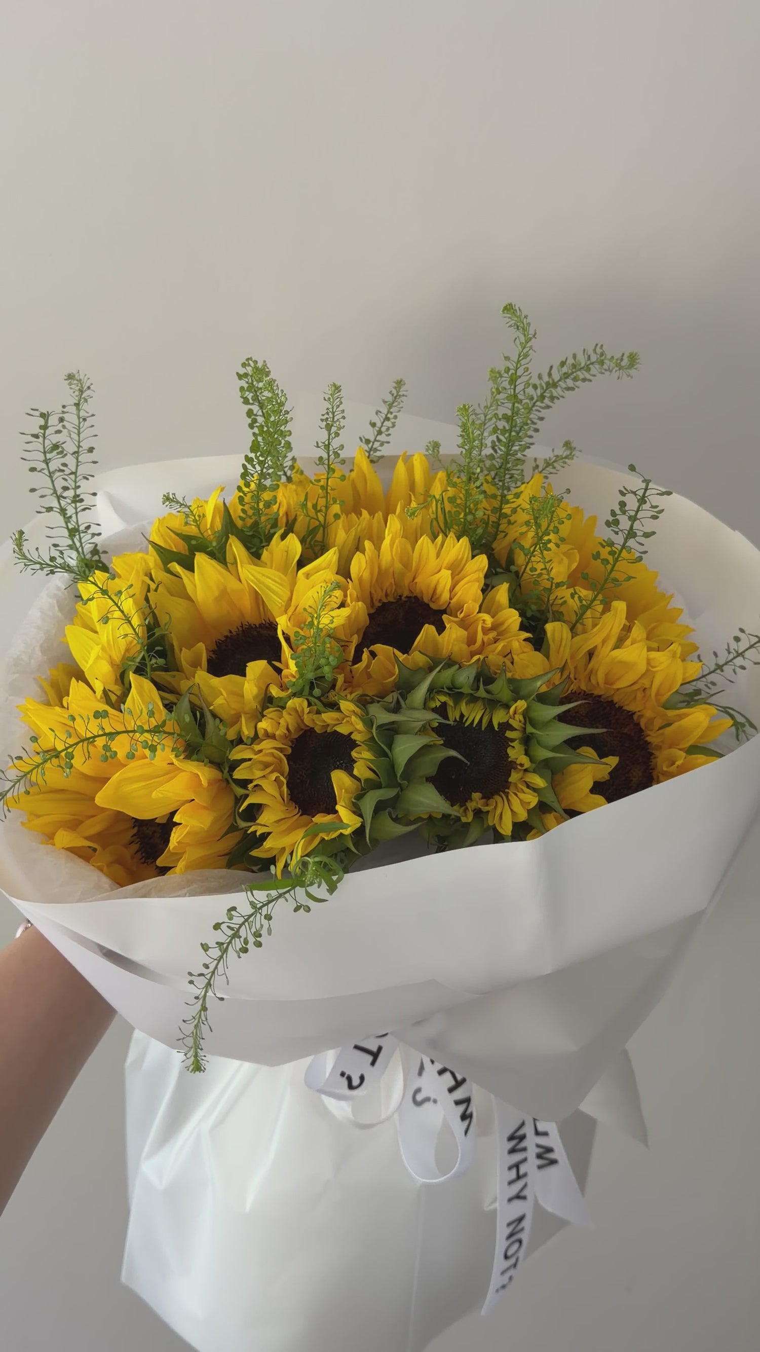 15 Sunflowers