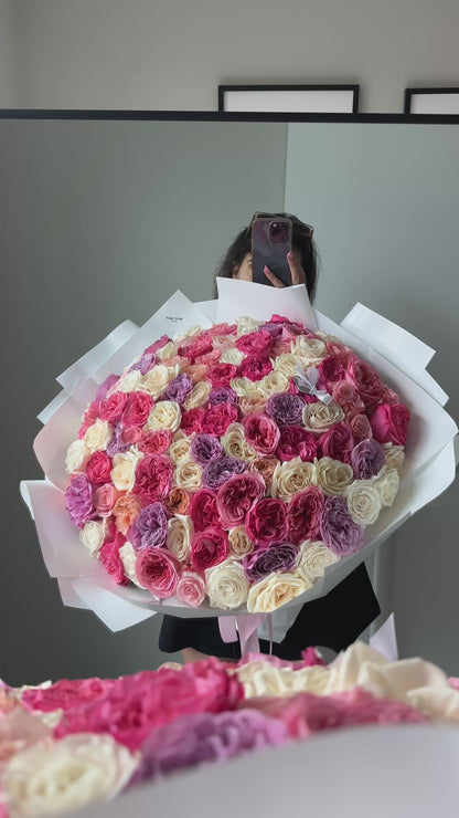 100 Premium Garden Roses
